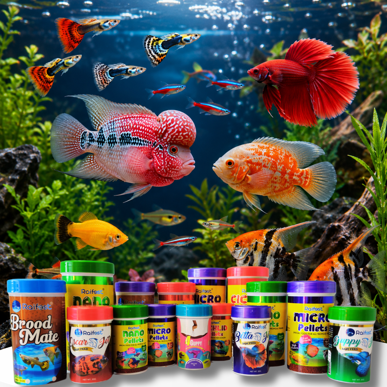 Ornamental Fish Feed